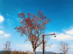 -良渚古城遗址公园