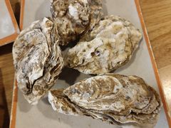 -开蚝屋·海鲜龙虾烧烤(文二路店)