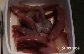 Fresh Squid