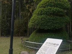 -苏州河梦清园环保主题公园