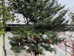 -东山雕花楼