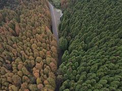 -山王坪喀斯特国家生态公园
