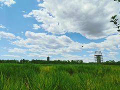 -永定河休闲森林公园