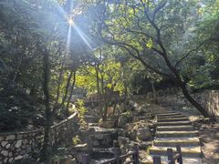 -北京西山国家森林公园