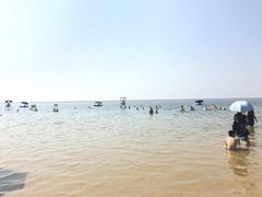-碧海金沙