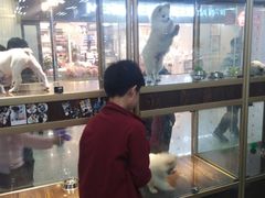 -乐宠宠物店(世纪金源店)