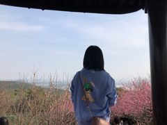 -香雪海