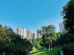 -龙头寺公园
