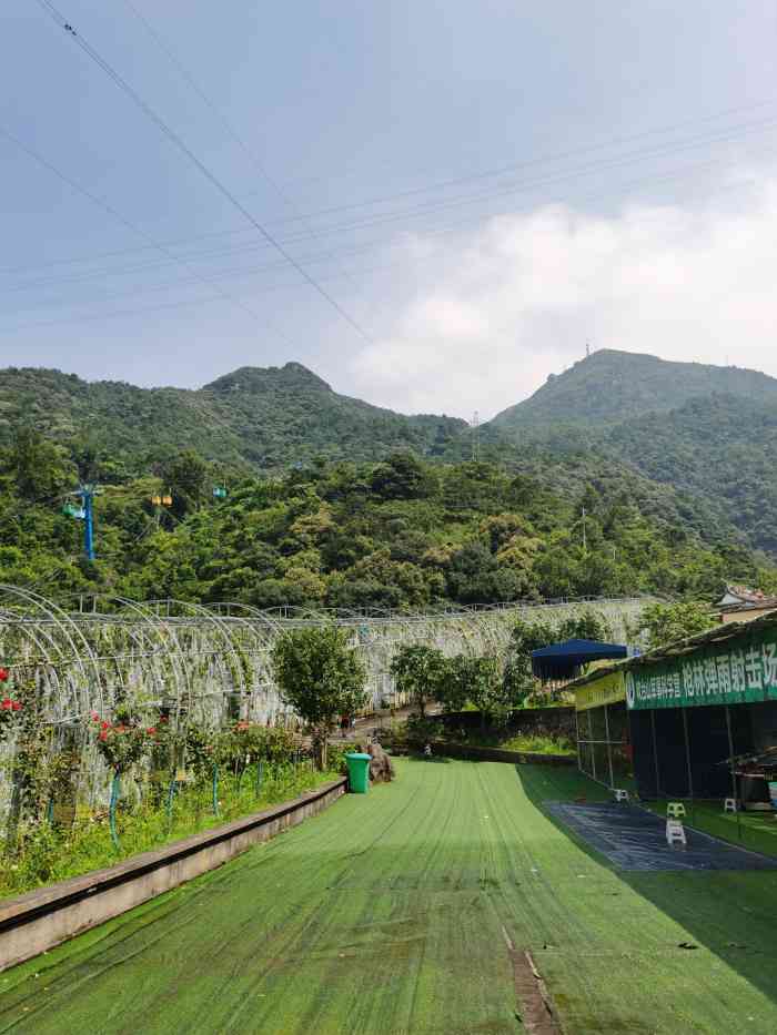 吹台山森林公园-"导航带错路来了这么个好鸡肋的公园 门票大.