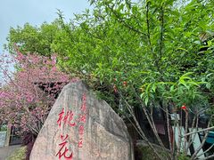 -金鸡湖桃花岛