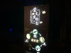 -福建鲤鱼洲酒店