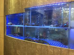 水产区-新兴家喻酒家·羊城名宴(昌岗店)