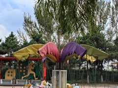 -丁香湖公园