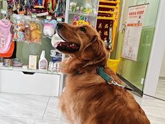 -悦宠动物医院(京丰分院)