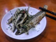 -全乐鱼馆·淳牌有机鱼直营店