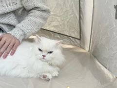 -钟山体育运动公园