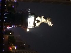 高雄爱河-高雄爱河