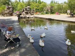 -洛阳市隋唐城遗址植物园