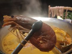 -湊湊火锅·茶憩(新中关购物中心店)