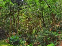 -飞霞风景名胜区