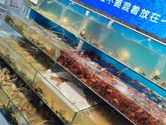 -仙螺岛海鲜自助餐厅(总店)