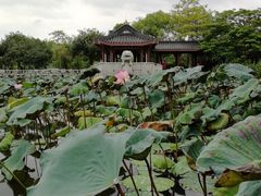 -惠州西湖丰渚园
