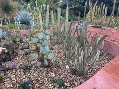 -墨尔本皇家植物园