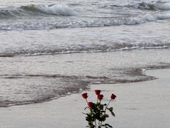 -青岛石老人海水浴场