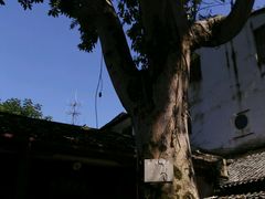 -徐悲鸿故居