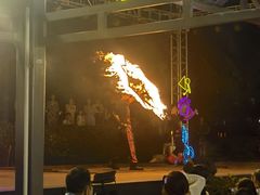 -渔家火锅·海鲜自助餐·演艺(亚龙湾天域酒店)