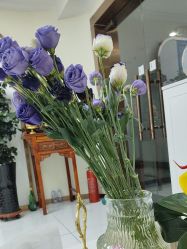 -SOS修丽可.痘肌修复中心