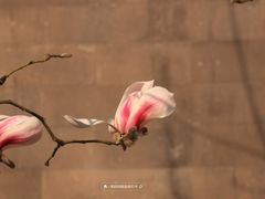 -东华门大街小区