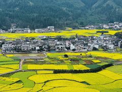 -万峰林风景区