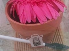 android_upload_pic-肯德基(塔南店)