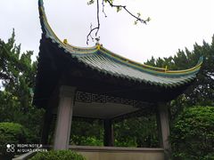 -叶家花园