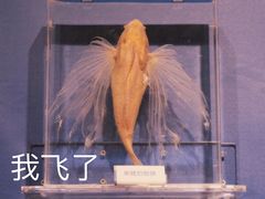 -温州博物馆