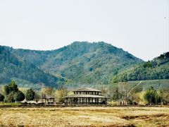 -径山花海