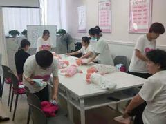 -爱月宝月嫂·育儿嫂