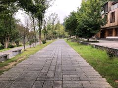 -常德桃花源景区