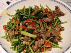 香菜炒牛肉-壹盏灯(蚂蚁工房店)