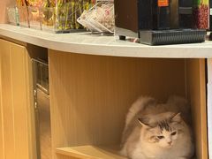 -剧狐剧本杀(徐汇1号店)