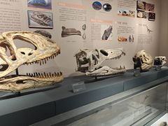 -自贡恐龙博物馆