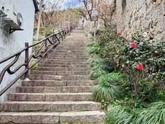 -四明山国家森林公园