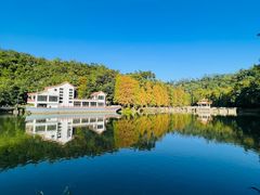 -深圳仙湖植物园