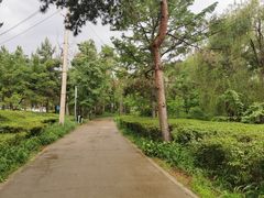 -长春市南湖公园