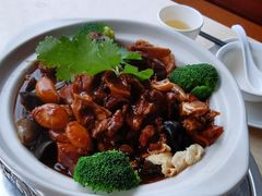 红焖东山羊-墨脱石锅椰子鸡•香草鸭•东山羊(大东海店)