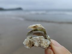 -青岛石老人海水浴场