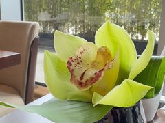 -彩丰楼·中餐厅(国家会展中心上海洲际店)