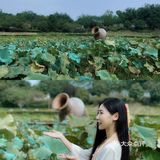 小长假绿色出行指南！野餐、遛娃、拍照📷好去处！[亲亲]
