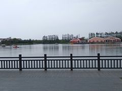 -上海长兴岛郊野公园